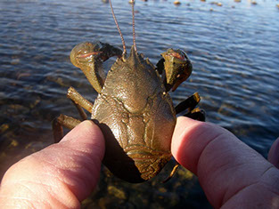 Bucking Rainbow Outfitters | Steamboat Springs, CO Argentina photo Gallery