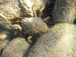 Bucking Rainbow Outfitters | Steamboat Springs, CO Argentina photo Gallery