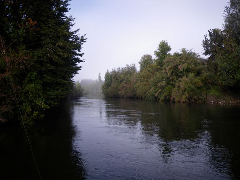 Bucking Rainbow Outfitters | Steamboat Springs, CO | Chile fly fishing photo Gallery