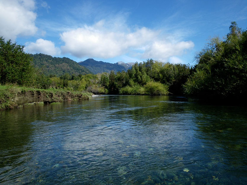 Bucking Rainbow Outfitters | Steamboat Springs, CO | Chile fly fishing photo Gallery