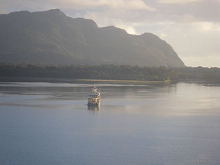 Bucking Rainbow Outfitters | Steamboat Springs, CO | Chile fly fishing photo Gallery