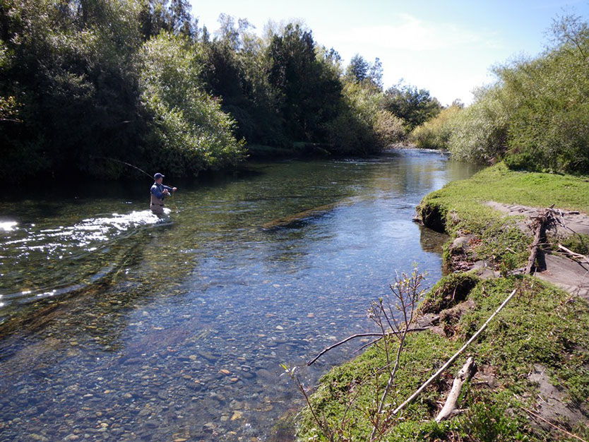 Bucking Rainbow Outfitters | Steamboat Springs, CO | Chile fly fishing photo Gallery
