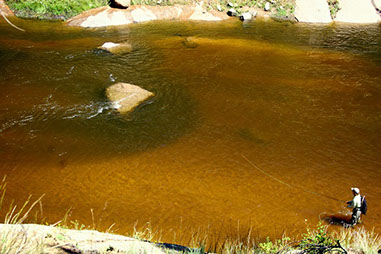 Bucking Rainbow Outfitters | Steamboat Springs, CO | fly fishing photo Gallery