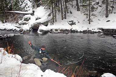 Bucking Rainbow Outfitters | Steamboat Springs, CO | fly fishing photo Gallery