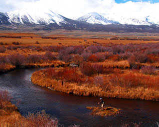 Bucking Rainbow Outfitters | Steamboat Springs, CO | fly fishing photo Gallery
