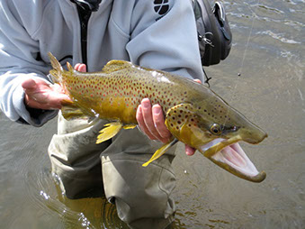 Bucking Rainbow Outfitters | Steamboat Springs, CO | fly fishing photo Gallery