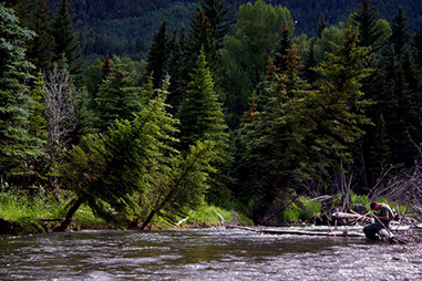 Bucking Rainbow Outfitters | Steamboat Springs, CO | fly fishing photo Gallery