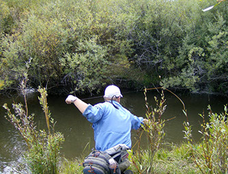 Bucking Rainbow Outfitters | Steamboat Springs, CO | fly fishing photo Gallery