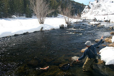 Bucking Rainbow Outfitters | Steamboat Springs, CO | fly fishing photo Gallery