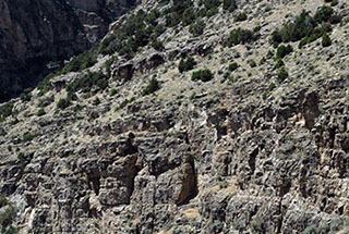 Bucking Rainbow Outfitters | Steamboat Springs, CO | rafting photo Gallery