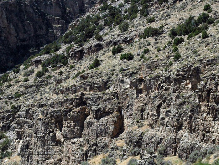 Bucking Rainbow Outfitters | Steamboat Springs, CO | rafting photo Gallery