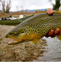 Bucking Rainbow Outfitters | Steamboat Springs, CO | fishing photos